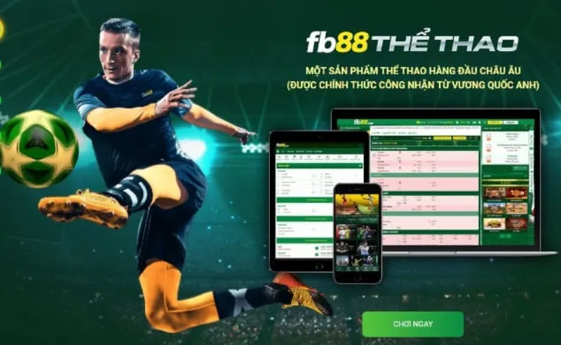 trang cá cược bóng đá FB88