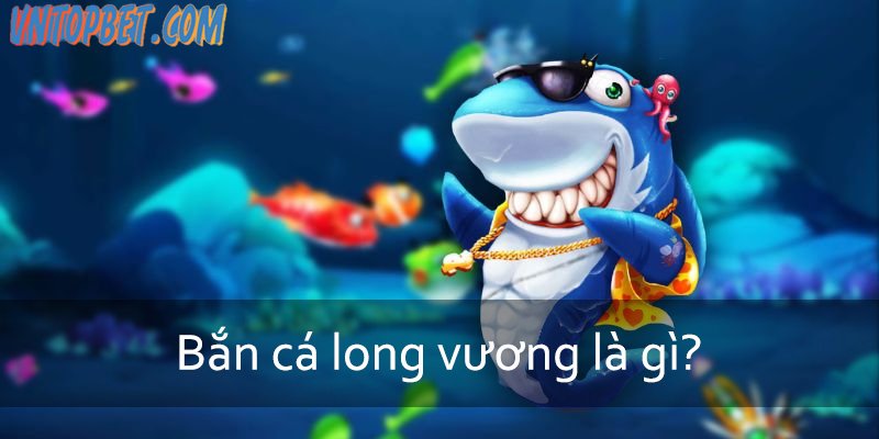 ban-ca-long-vuong-3
