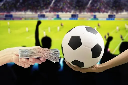 Tư vấn của chuyên gia soi kèo