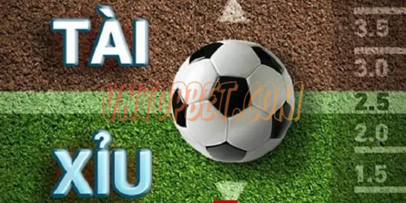 Bí Kíp Chơi Kèo Tài Xỉu 100% Trúng