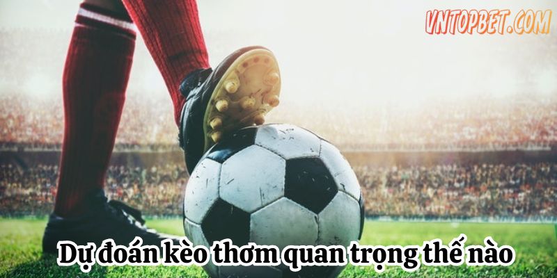nhan-dinh-keo-thom-1