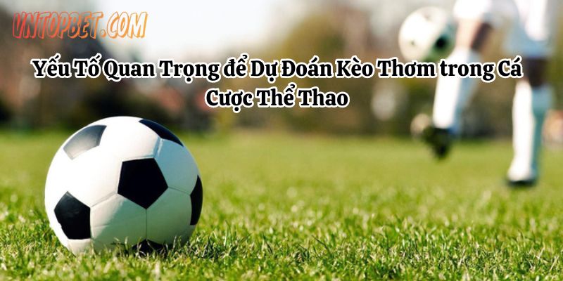 nhan-dinh-keo-thom-2