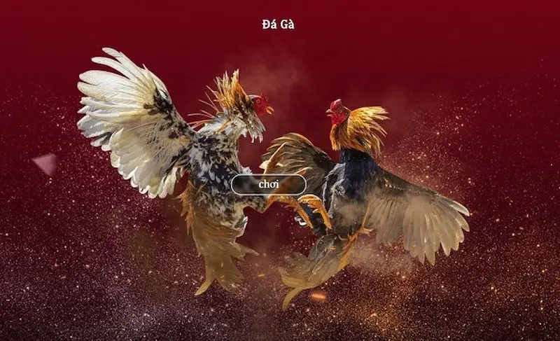 Tham gia đá gà M88 - tham gia thị trường game đỉnh cao