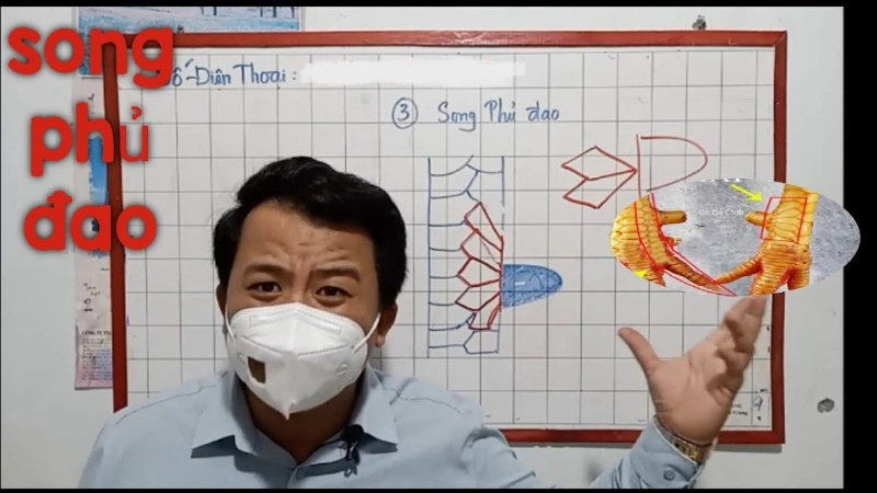 Song phủ đao là tên vảy của loại gà sẽ chiến đấu tới khi ngừng thở