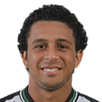 Wellington Nem